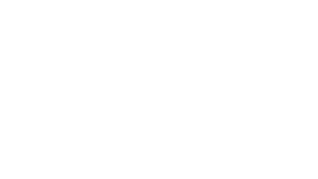 Aesthetics Skin logo