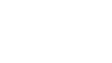 The Aesthetics Skin